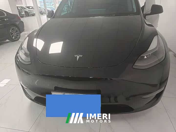 Tesla Model Y 2021 Standard Range RWD - ავტომობილი ჩინეთიდან
