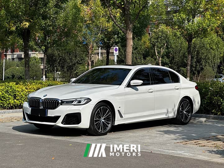 BMW 5 Series 530Li Premier M Sport Package - car from China