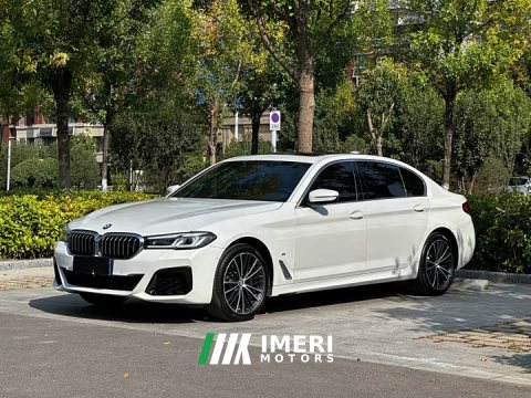 2023 BMW 5 Series 530Li Premier M Sport Package - car from China