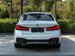 BMW 5 Series 530Li Premier M Sport Package - photo 4
