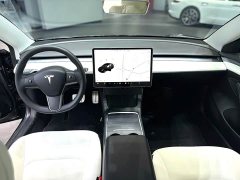 Tesla Model 3 Performance All-Wheel Drive - ფოტო 6