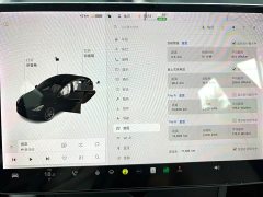 Tesla Model 3 Performance All-Wheel Drive - ფოტო 7