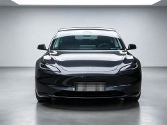 Tesla Model 3 Rear-Wheel Drive - ფოტო 2