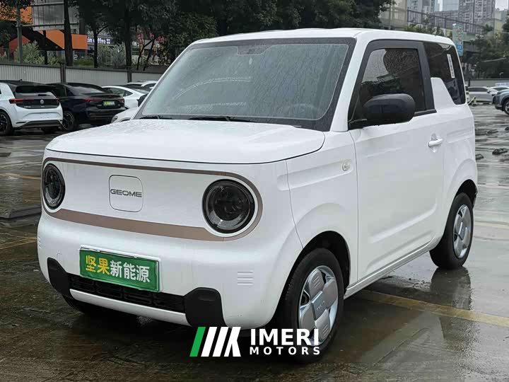 Geely Panda Mini 200km Dragon Ascend Edition