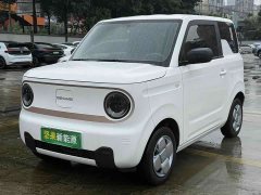 Geely Panda 2024 Panda Mini 200km Dragon Ascend Edition - ფოტო 1