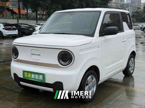 2025 Geely Panda 2024 Panda Mini 200km Dragon Ascend Edition - автомобиль из Китая