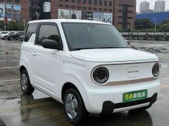 Geely Panda 2024 Panda Mini 200km Dragon Ascend Edition - ფოტო 2