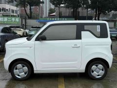 Geely Panda 2024 Panda Mini 200km Dragon Ascend Edition - ფოტო 5