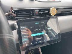 Leapmotor Leapo T03 Haoyu Edition - ფოტო 9