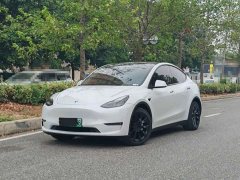 Tesla Model Y Long Range All-Wheel Drive - ფოტო 1