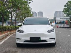 Tesla Model Y Long Range All-Wheel Drive - ფოტო 2