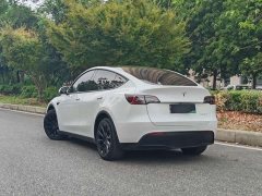 Tesla Model Y Long Range All-Wheel Drive - ფოტო 3