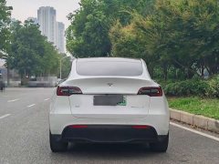 Tesla Model Y Long Range All-Wheel Drive - ფოტო 5
