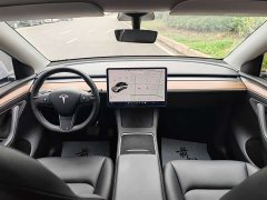 Tesla Model Y Long Range All-Wheel Drive - ფოტო 7