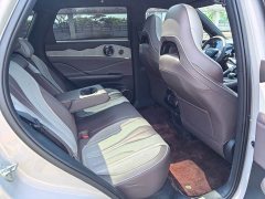 BYD Frigate 07 DM-i 100KM Prestige - ფოტო 20