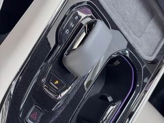 Zeekr Geely Zeekr 009 2024 Seven-Seat Aisle Version AWD 108kWh - ფოტო 15