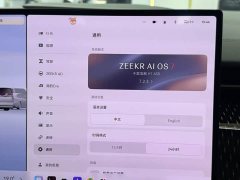 Zeekr Geely Zeekr 009 2024 Seven-Seat Aisle Version AWD 108kWh - ფოტო 18
