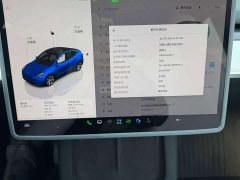 Tesla Model Y Rear-Wheel Drive - ფოტო 7