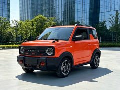 Geely Panda Mini 200km Endurance Edition - ფოტო 2