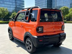 Geely Panda Mini 200km Endurance Edition - ფოტო 5