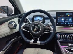 BYD Yuan Plus 430KM Premium Edition - ფოტო 13