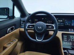Li Auto ONE 2021 Extended Range 6-Seater - ფოტო 12