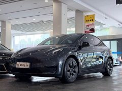 Tesla Model Y 2024 Rear-Wheel Drive - ფოტო 1