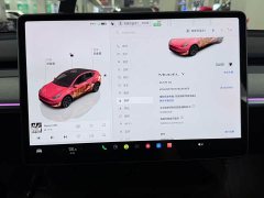 Tesla Model Y 2024 Rear-Wheel Drive - ფოტო 10
