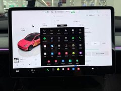Tesla Model Y 2024 Rear-Wheel Drive - ფოტო 11
