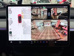 Tesla Model Y 2024 Rear-Wheel Drive - ფოტო 12