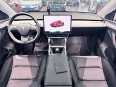 Tesla Model Y 2024 Rear-Wheel Drive - ფოტო 8