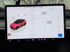 Tesla Model Y 2024 Rear-Wheel Drive - ფოტო 9