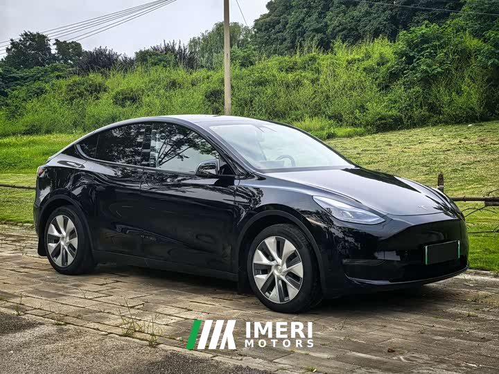 Tesla Model Y Standard Range RWD - ავტომობილი ჩინეთიდან