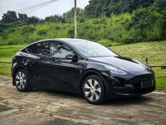 Tesla Model Y Standard Range RWD - ფოტო 1