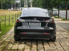 Tesla Model Y Rear-Wheel Drive - ფოტო 2