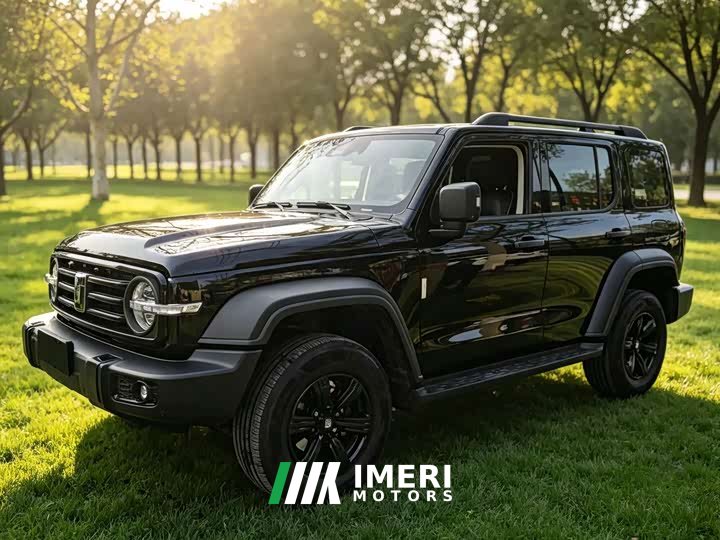 Tank 300 2021 Off-Road Edition 2.0T Challenger - ავტომობილი ჩინეთიდან