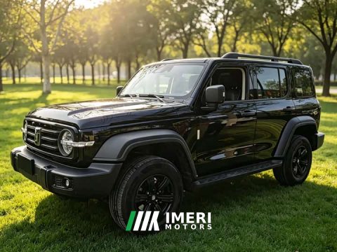 2022 Tank 300 2021 Off-Road Edition 2.0T Challenger - ავტომობილი ჩინეთიდან