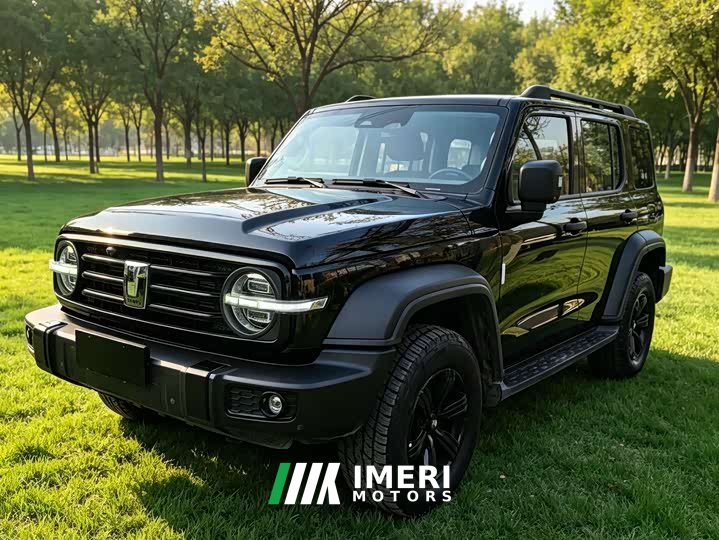 Tank 300 2021 Off-Road Edition 2.0T Conqueror - car from China