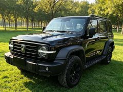 Tank 300 2021 Off-Road Edition 2.0T Conqueror - photo 1