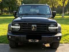 Tank 300 2021 Off-Road Edition 2.0T Conqueror - photo 2