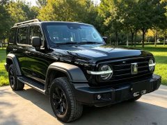 Tank 300 2021 Off-Road Edition 2.0T Conqueror - photo 3