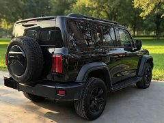 Tank 300 2021 Off-Road Edition 2.0T Conqueror - photo 6