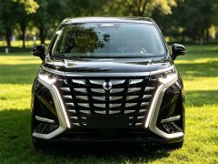 Denza D9 2022 DM-i 970 AWD Flagship - ფოტო 2