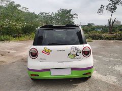 Changan Lumin 205km Xiangqin Edition - ფოტო 13