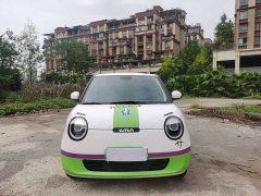 Changan Lumin 205km Xiangqin Edition - ფოტო 2