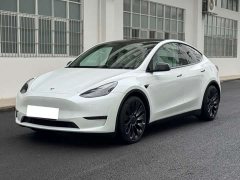 Tesla Model Y 2022 Performance All-Wheel Drive - ფოტო 1