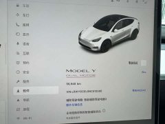Tesla Model Y 2022 Performance All-Wheel Drive - ფოტო 12