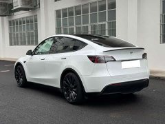 Tesla Model Y 2022 Performance All-Wheel Drive - ფოტო 13