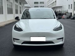 Tesla Model Y 2022 Performance All-Wheel Drive - ფოტო 2