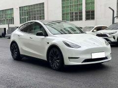 Tesla Model Y 2022 Performance All-Wheel Drive - ფოტო 3